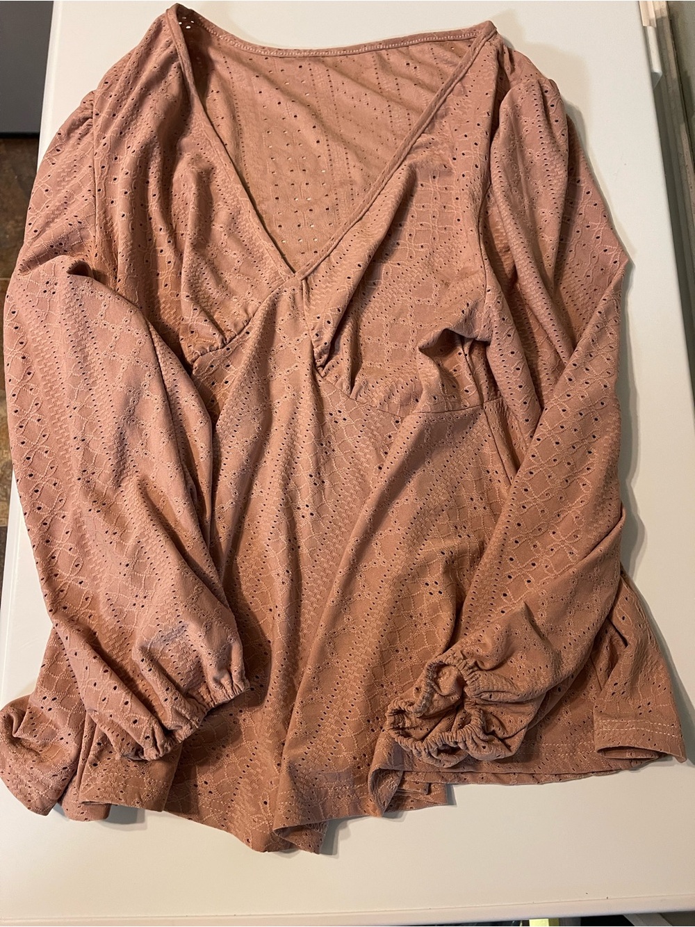 SHEIN Blush Pink Eyelet V-Neck Long Sleeve Blouse